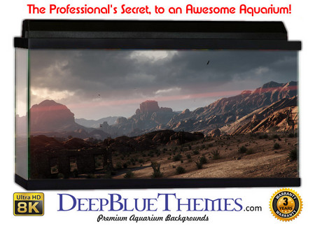Buy Aquarium Background Gamer Desert Aquarium Background
