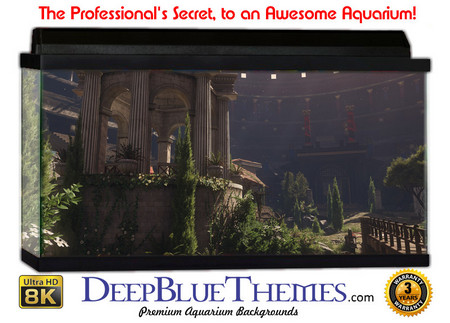 Buy Aquarium Background Gamer Ryse Aquarium Background