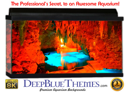 Buy Glo Fish Background Cave Blue Aquarium Background