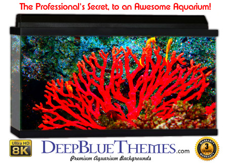 Buy Glo Fish Background Coral Red Aquarium Background