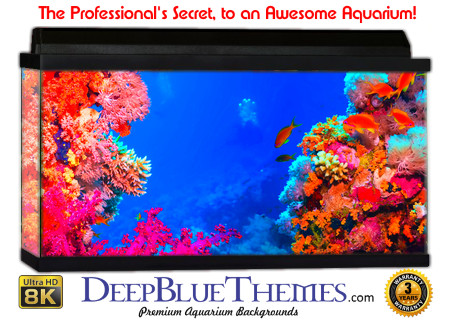 Buy Glo Fish Background Reef Beautiful Aquarium Background