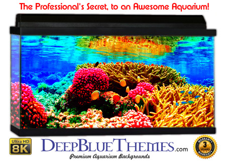 Buy Glo Fish Background Reef Colors Aquarium Background