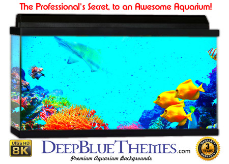 Buy Glo Fish Background Shark Reef Aquarium Background