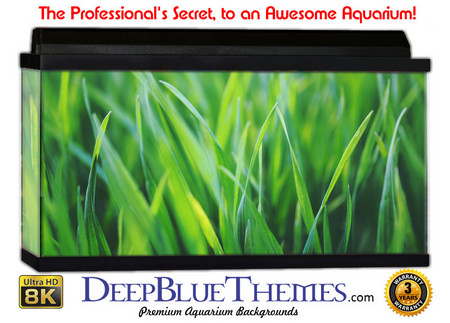 Buy Aquarium Background Grass Blades Aquarium Background