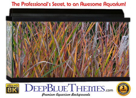 Buy Aquarium Background Grass Flame Aquarium Background