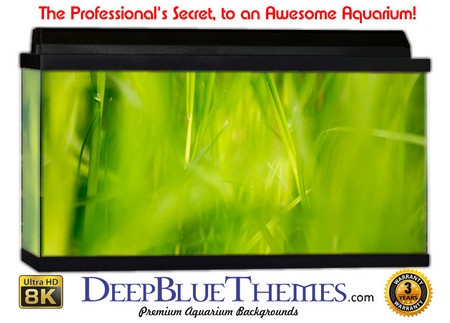 Buy Aquarium Background Grass Mist Aquarium Background