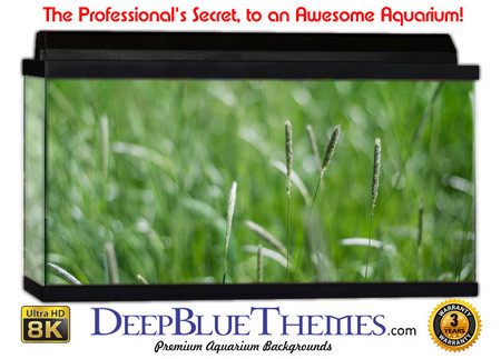 Buy Aquarium Background Grass Plain Aquarium Background
