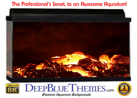 Buy Aquarium Background Lava Fire Aquarium Background