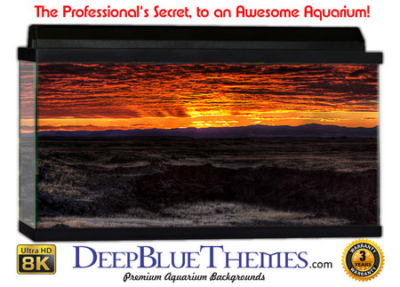 Buy Aquarium Background Lava Sunset Aquarium Background