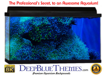 Buy Aquarium Background Marine Glow Aquarium Background