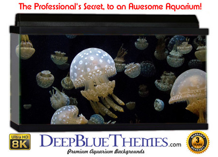 Buy Aquarium Background Marine Jelly Aquarium Background