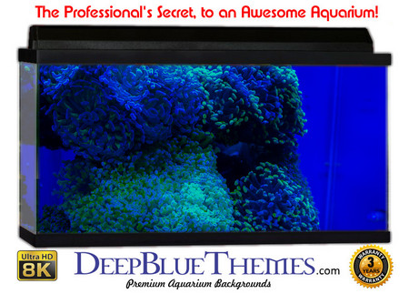 Buy Aquarium Background Marine Outcrop Aquarium Background