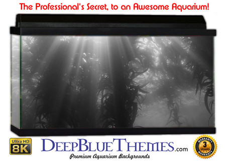 Buy Aquarium Background Marine Shadow Aquarium Background
