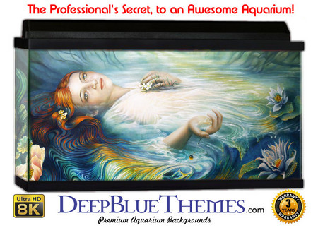 Buy Aquarium Background Mermaid Art Aquarium Background