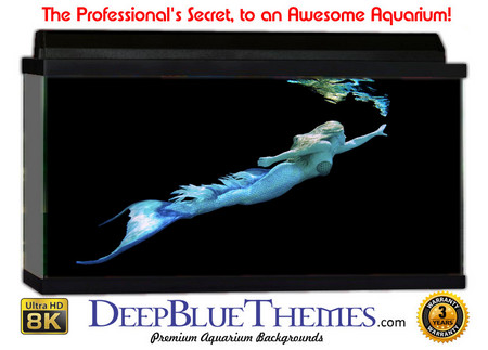 Buy Aquarium Background Mermaid Dark Aquarium Background