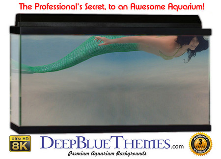 Buy Aquarium Background Mermaid Float Aquarium Background