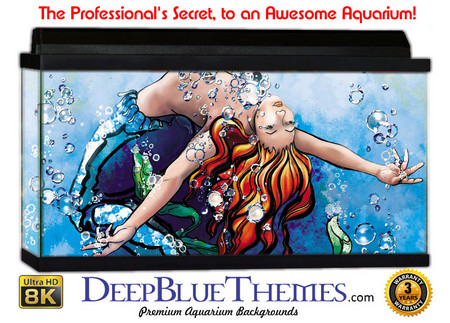 Buy Aquarium Background Mermaid Play Aquarium Background