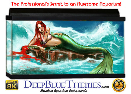 Buy Aquarium Background Mermaid Red Aquarium Background
