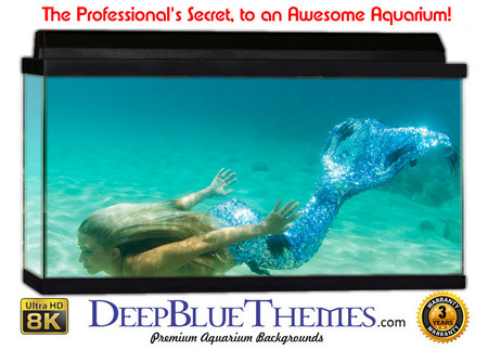 Buy Aquarium Background Mermaid Swim Aquarium Background