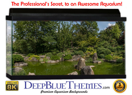 Buy Aquarium Background Perspective Landscape Aquarium Background