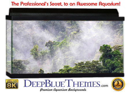 Buy Aquarium Background Rainforest Cloud Aquarium Background