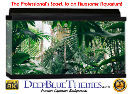 Buy Aquarium Background Rainforest Jungle Aquarium Background