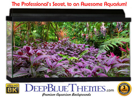 Buy Aquarium Background Rainforest Purple Aquarium Background