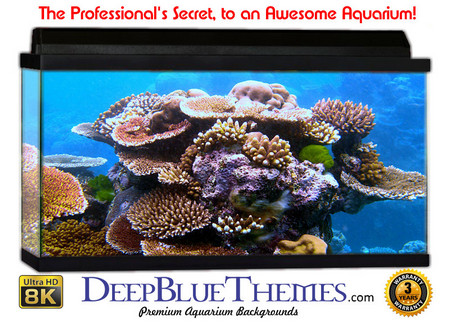 Buy Aquarium Background Reef Tower Aquarium Background