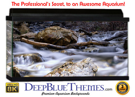 Buy Aquarium Background Riverrocks Beauty Aquarium Background