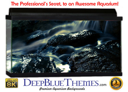 Buy Aquarium Background Riverrocks Black Aquarium Background