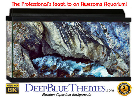 Buy Aquarium Background Riverrocks Colors Aquarium Background