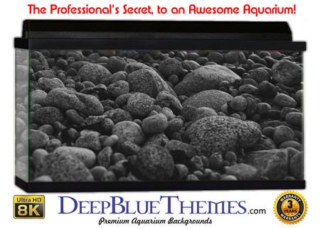 Buy Aquarium Background Riverrocks Pebbles Aquarium Background