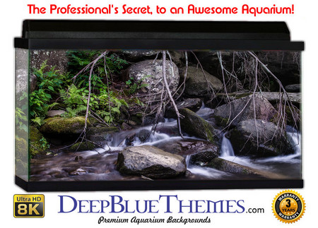 Buy Aquarium Background Riverrocks Puddle Aquarium Background