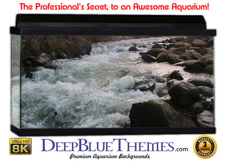 Buy Aquarium Background Riverrocks Rush Aquarium Background