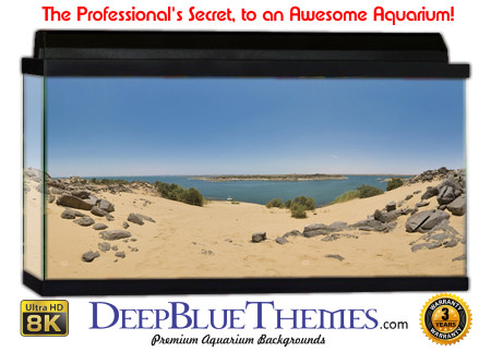 Buy Aquarium Background Sand Dune Aquarium Background