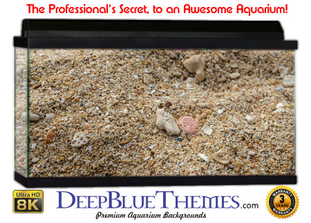 Buy Aquarium Background Sand Texture Aquarium Background