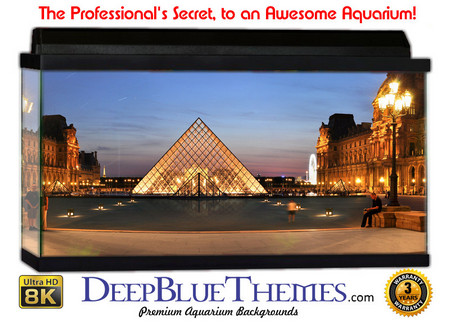 Buy Aquarium Background Scene Louvre Aquarium Background