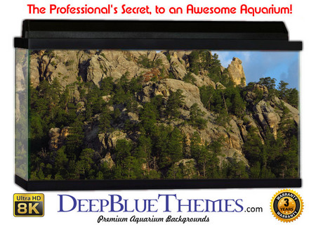 Buy Aquarium Background Scene Rushmore Aquarium Background