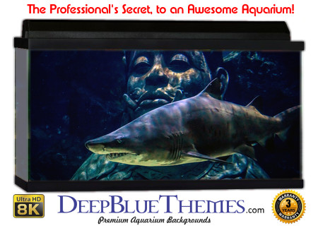 Buy Aquarium Background Shark Buddha Aquarium Background