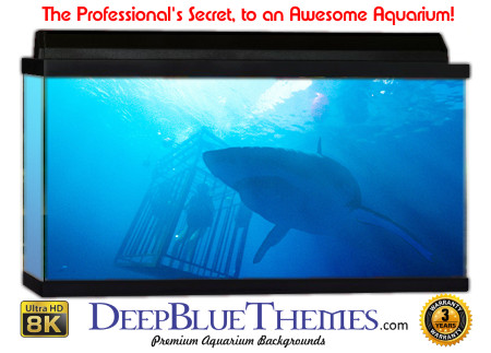Buy Aquarium Background Shark Cage Aquarium Background
