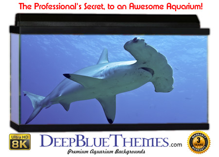 Buy Aquarium Background Shark Hammer Aquarium Background