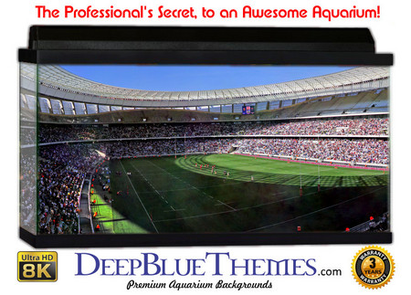 Buy Aquarium Background Stadium Capetown Aquarium Background