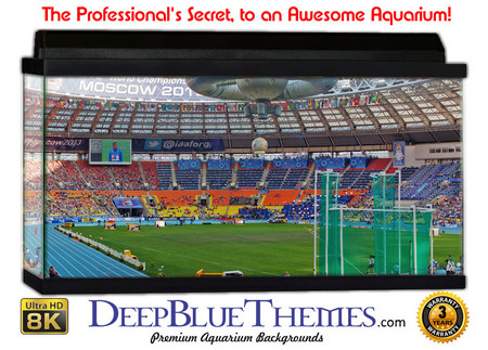 Buy Aquarium Background Stadium Cool Aquarium Background