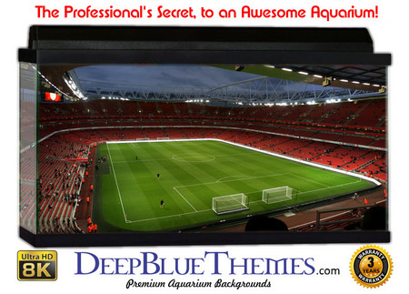 Buy Aquarium Background Stadium Emirates Aquarium Background
