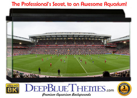 Buy Aquarium Background Stadium Essma Aquarium Background