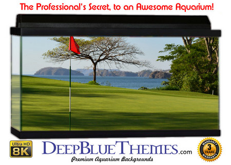 Buy Aquarium Background Stadium Flag Aquarium Background