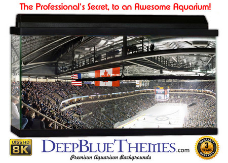 Buy Aquarium Background Stadium Nhl Aquarium Background