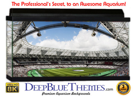 Buy Aquarium Background Stadium Olympic Aquarium Background