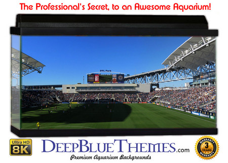 Buy Aquarium Background Stadium Ppl Aquarium Background