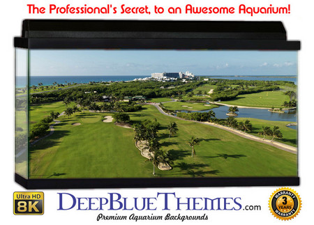 Buy Aquarium Background Stadium Retire Aquarium Background
